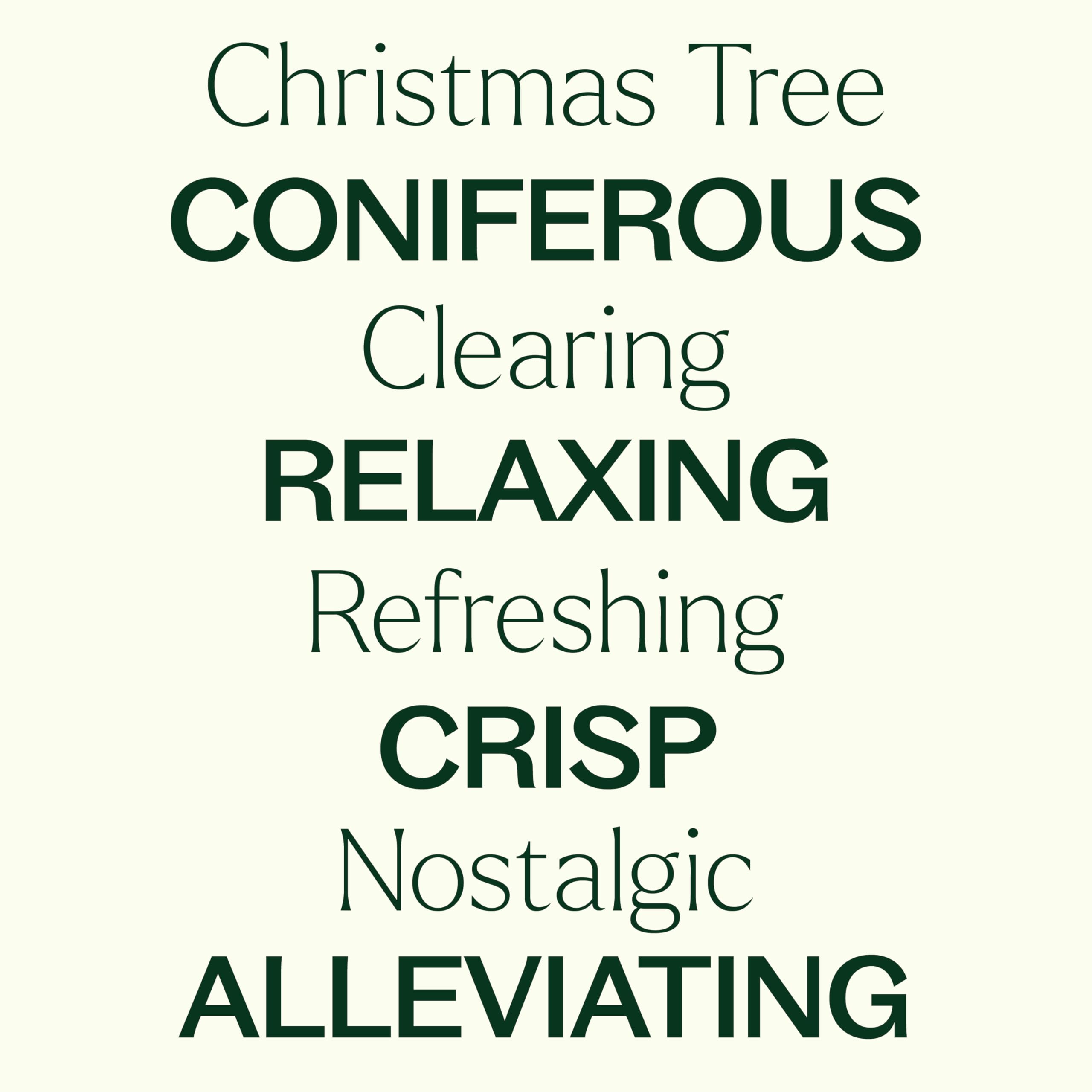 Plant Therapy black spruce essential oil bottle delivering crisp holiday fragrance