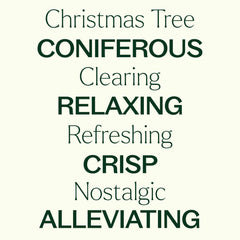 Plant Therapy black spruce essential oil bottle delivering crisp holiday fragrance