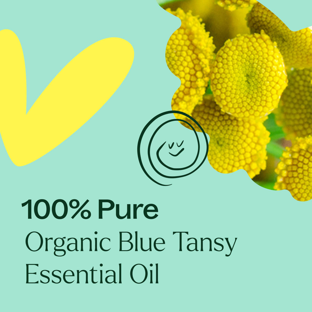 Plant Therapy Blue Tansy dropper enabling precise dilution.