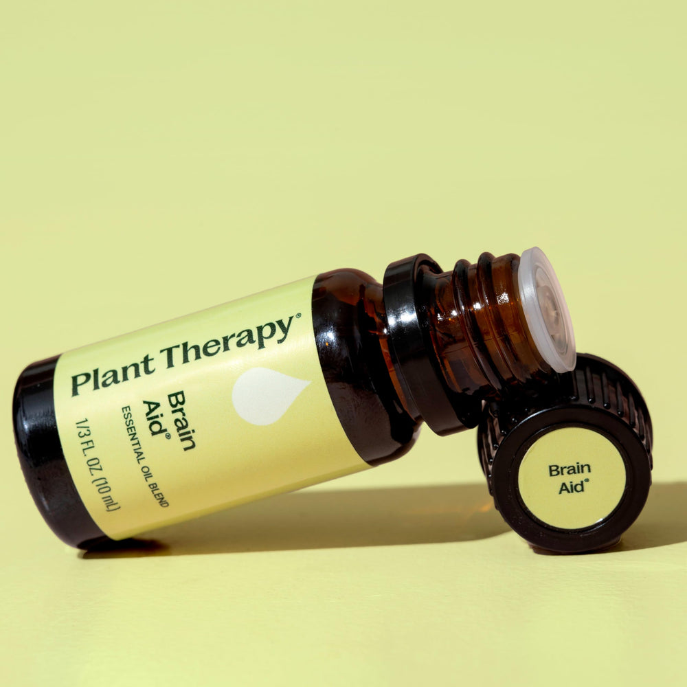 Brain Aid aromatic profile by Plant Therapy, featuring sweet-fruity notes and spice hints.