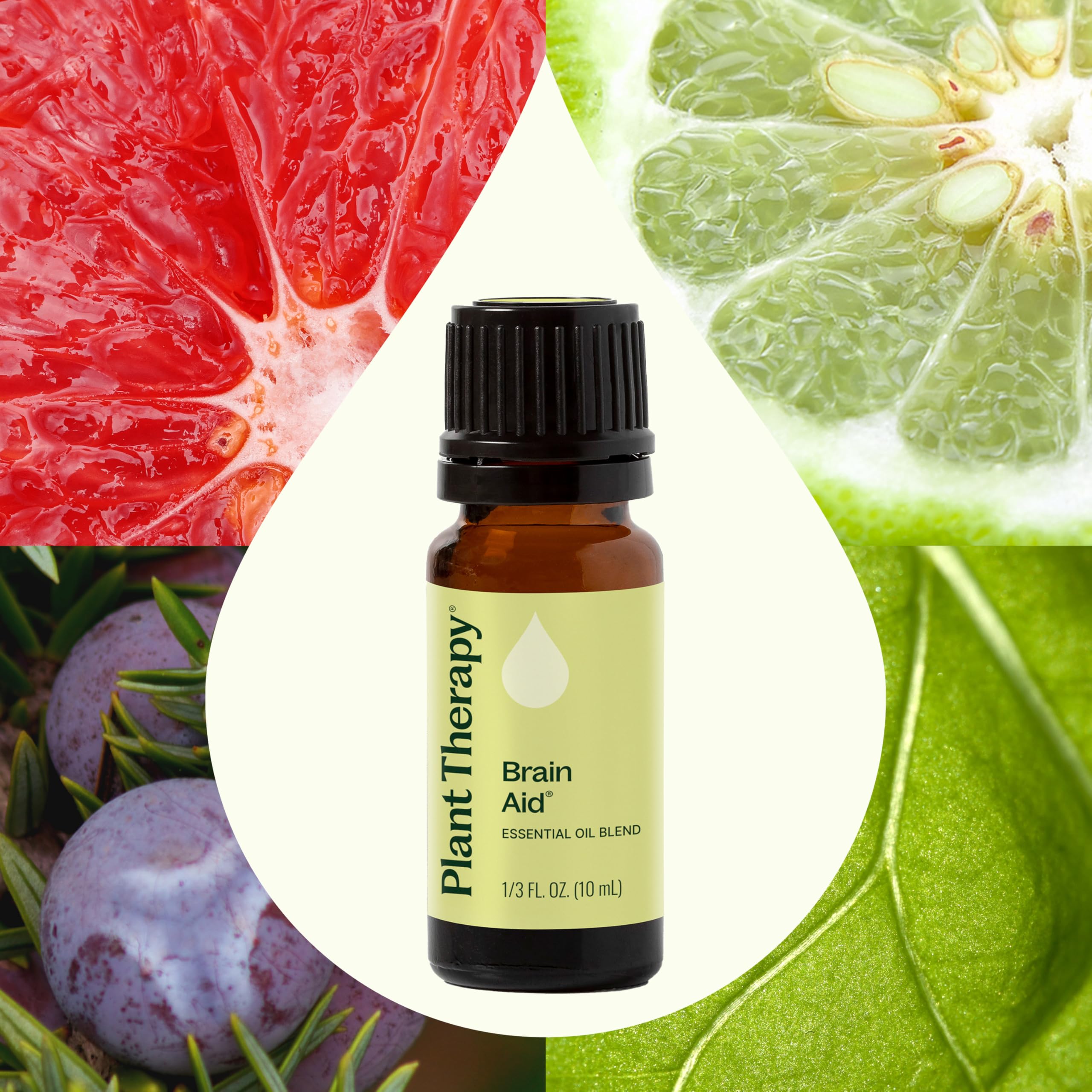 Brain Aid diffuser use with Plant Therapy for a focused, energizing environment.