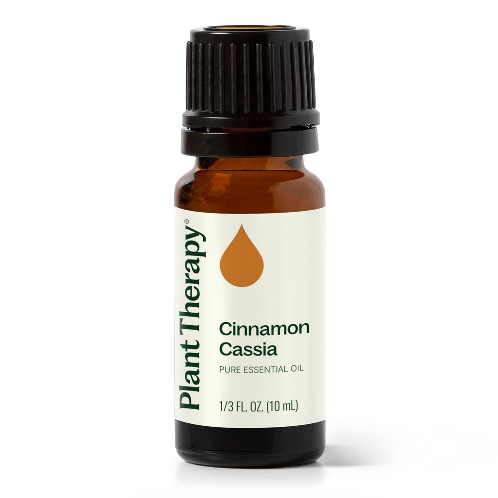 Plant Therapy Cinnamon Cassia 10 mL bottle for pure aroma