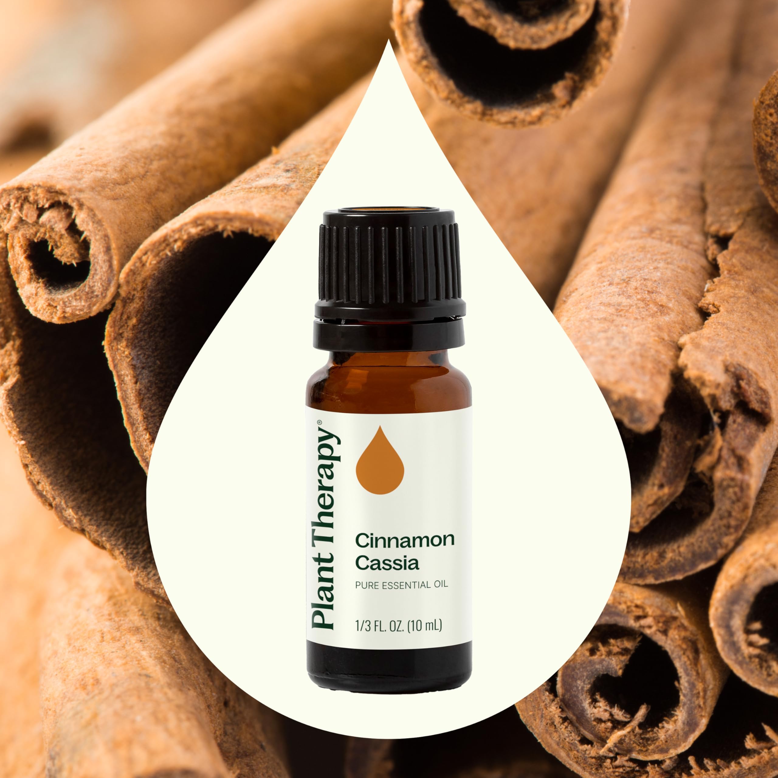 Plant Therapy Cinnamon Cassia bottle drops prepared for topical use