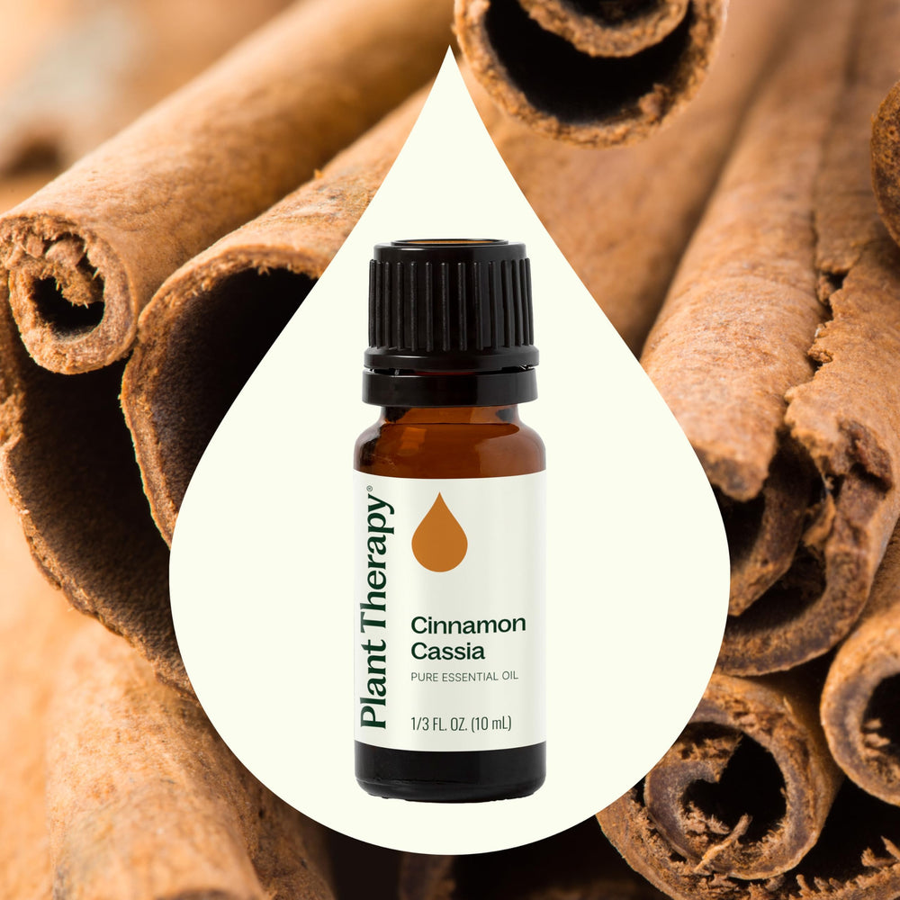 Plant Therapy Cinnamon Cassia bottle drops prepared for topical use