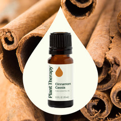Plant Therapy Cinnamon Cassia bottle drops prepared for topical use