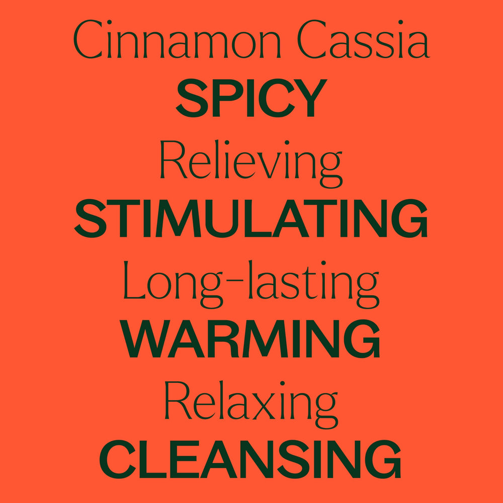 Plant Therapy Cinnamon Cassia diffuser setup for warm scent