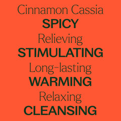 Plant Therapy Cinnamon Cassia diffuser setup for warm scent