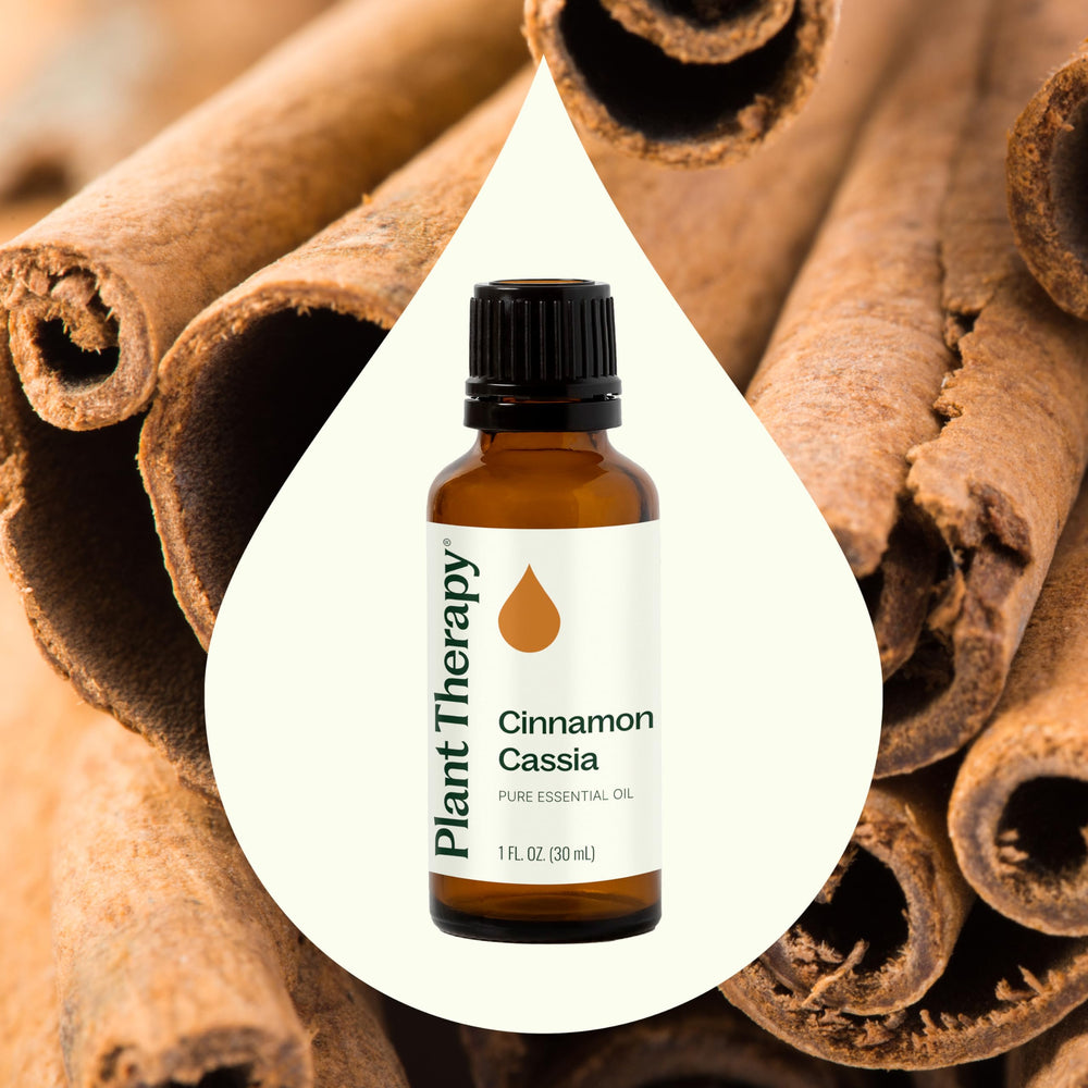 Topical Cinnamon Cassia application with Carrier oil for gentle use