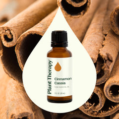 Topical Cinnamon Cassia application with Carrier oil for gentle use