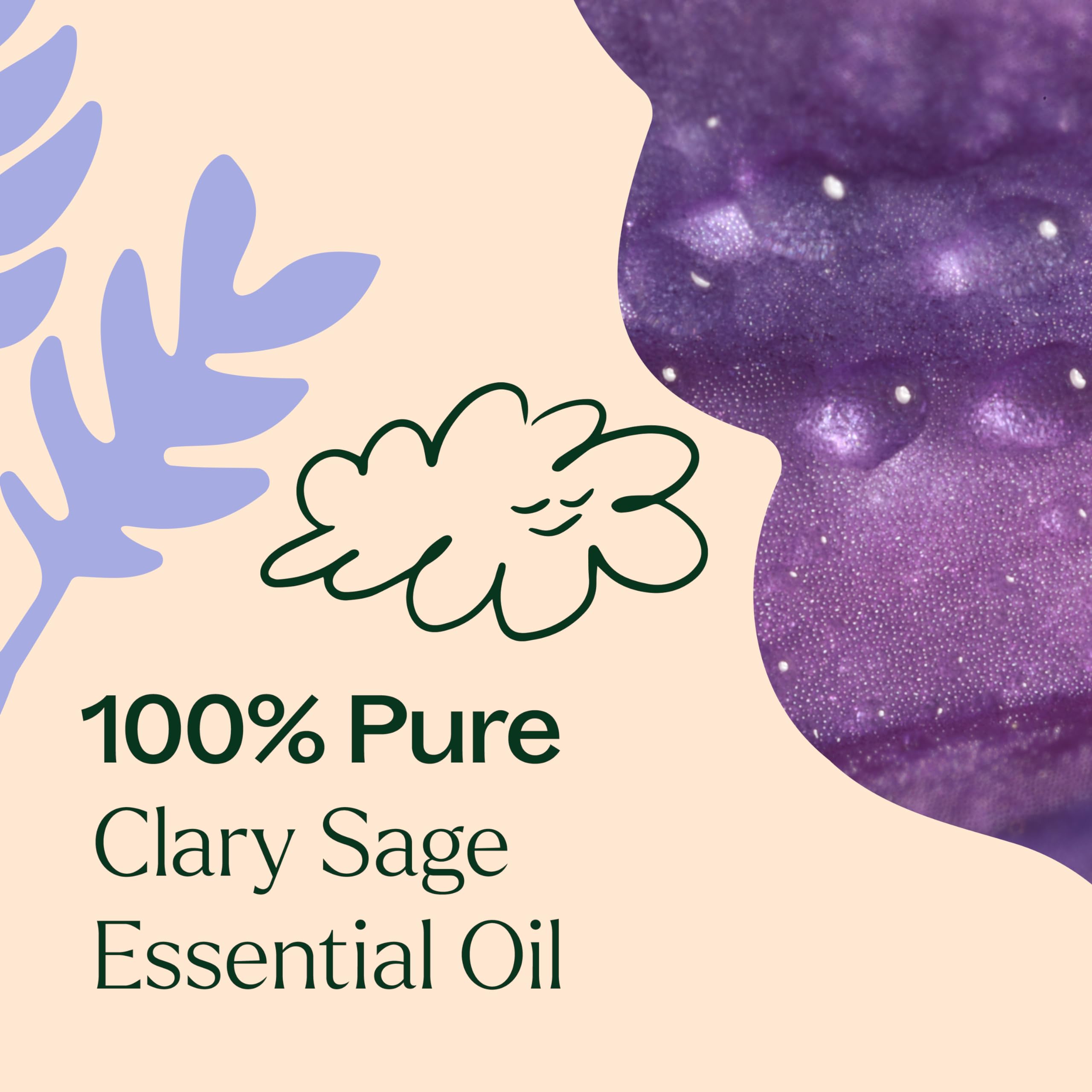 France-sourced Clary Sage oil, steam distilled for authentic aroma