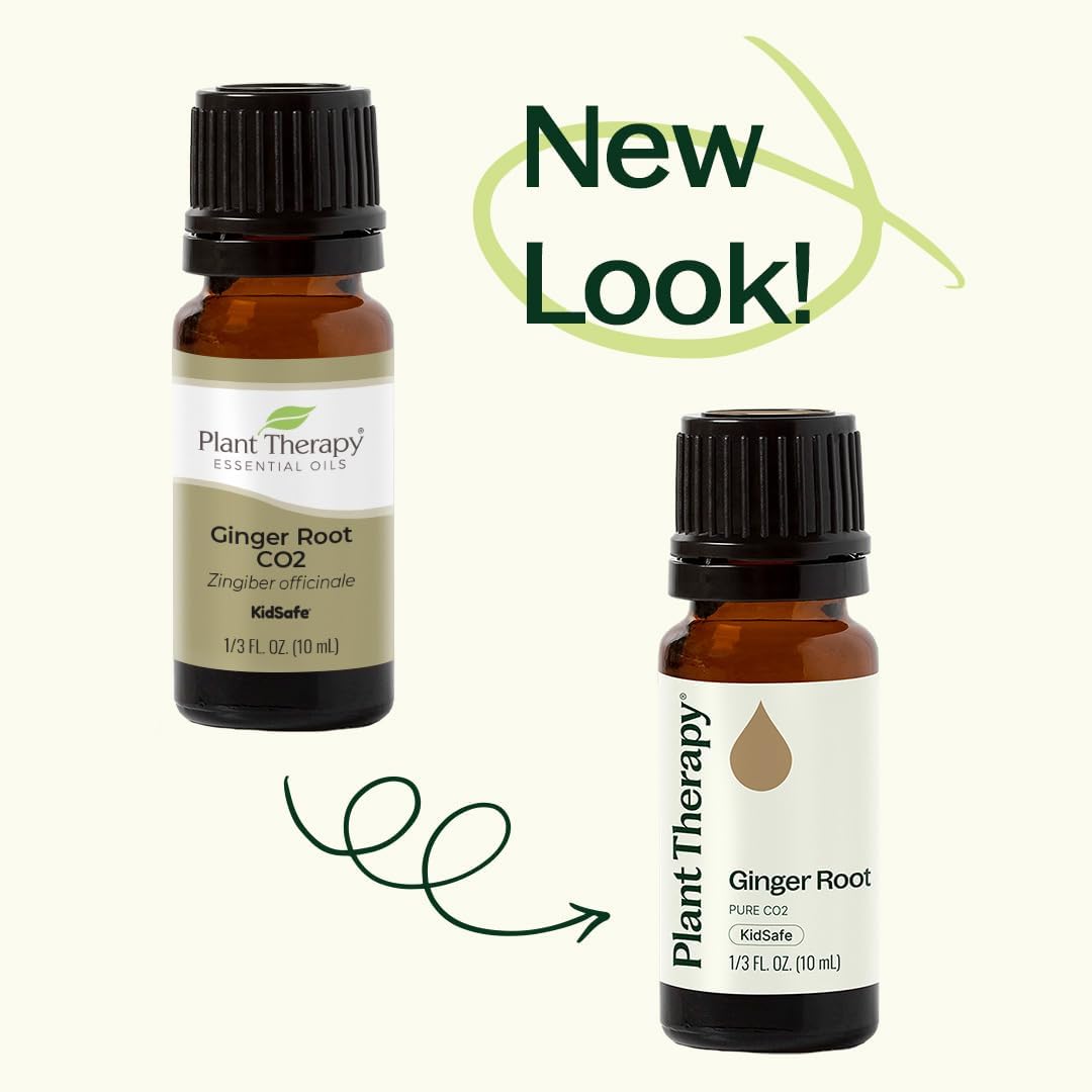 Plant Therapy cuidado capilar con aceite de jengibre para cabello y cuero cabelludo.