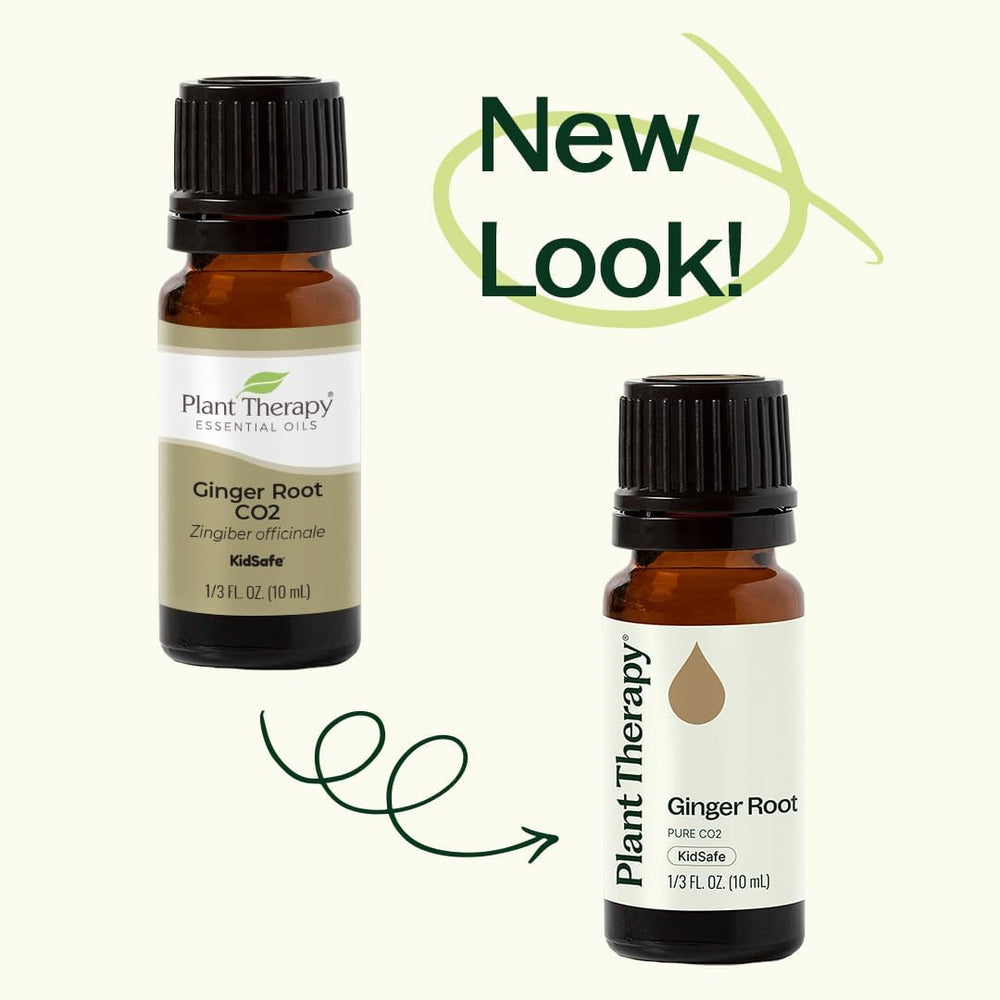 Plant Therapy cuidado capilar con aceite de jengibre para cabello y cuero cabelludo.