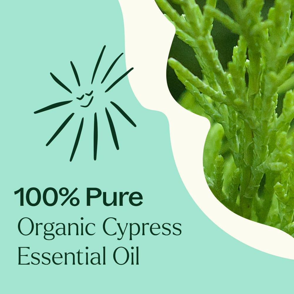 Plant Therapy Cypress Oil emotional soothing—uplifting scent that supports calm moods.
