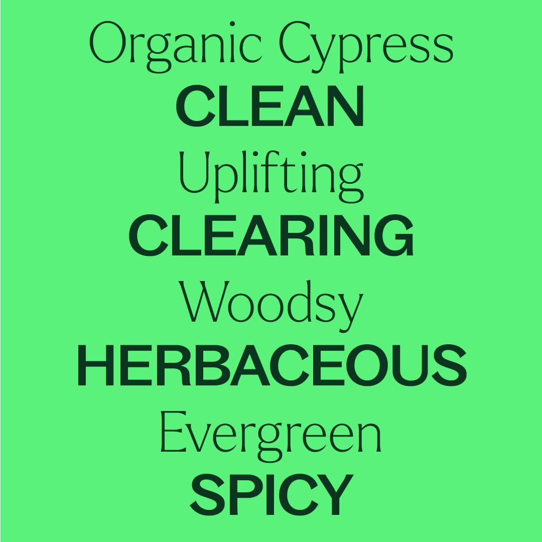 Plant Therapy Cypress Oil steam aroma—fresh, woodsy notes for seasonal ambiance.
