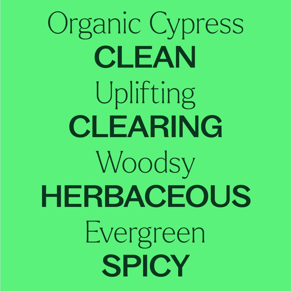Plant Therapy Cypress Oil steam aroma—fresh, woodsy notes for seasonal ambiance.