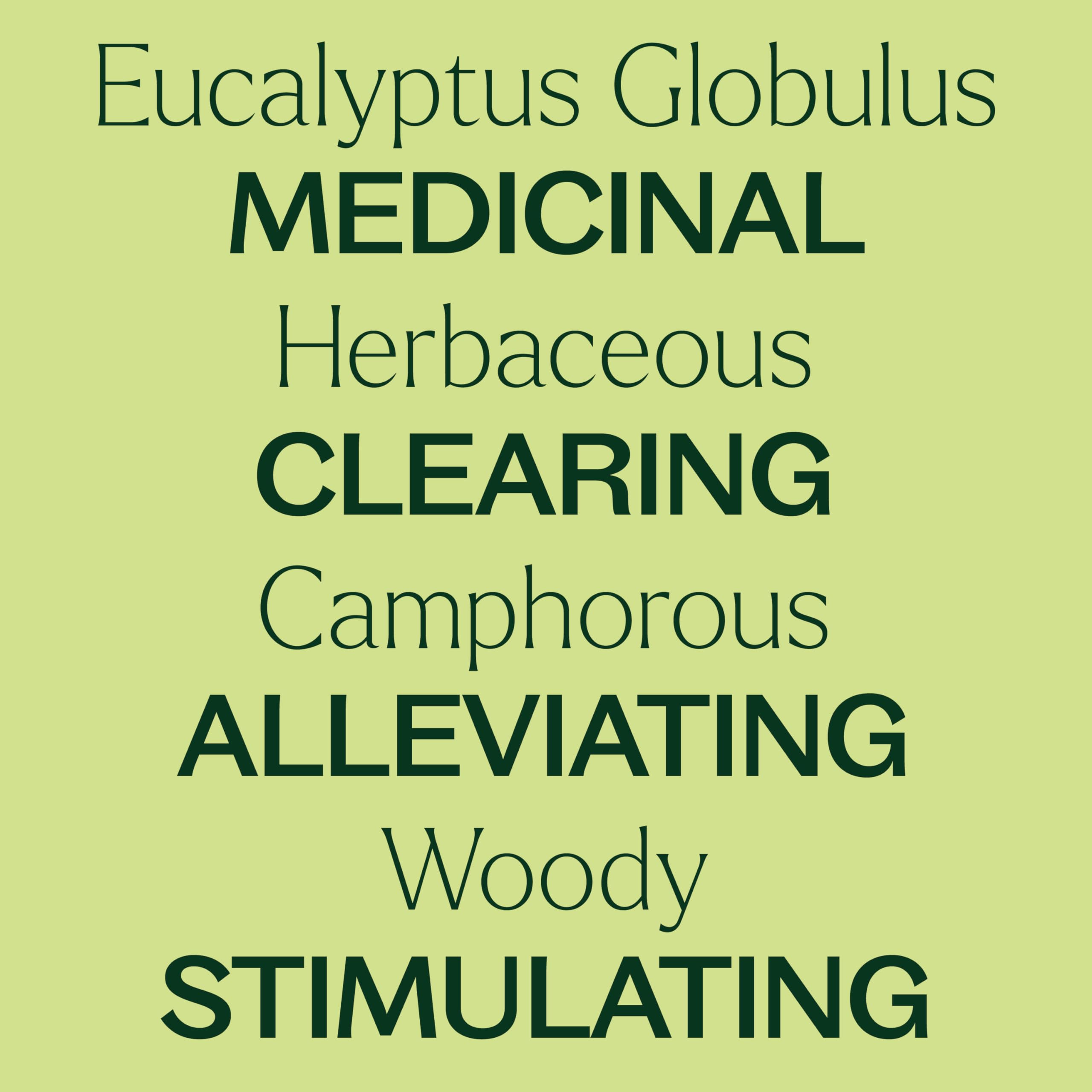Plant Therapy eucalyptus globulus GC-MS report validating batch testing and purity