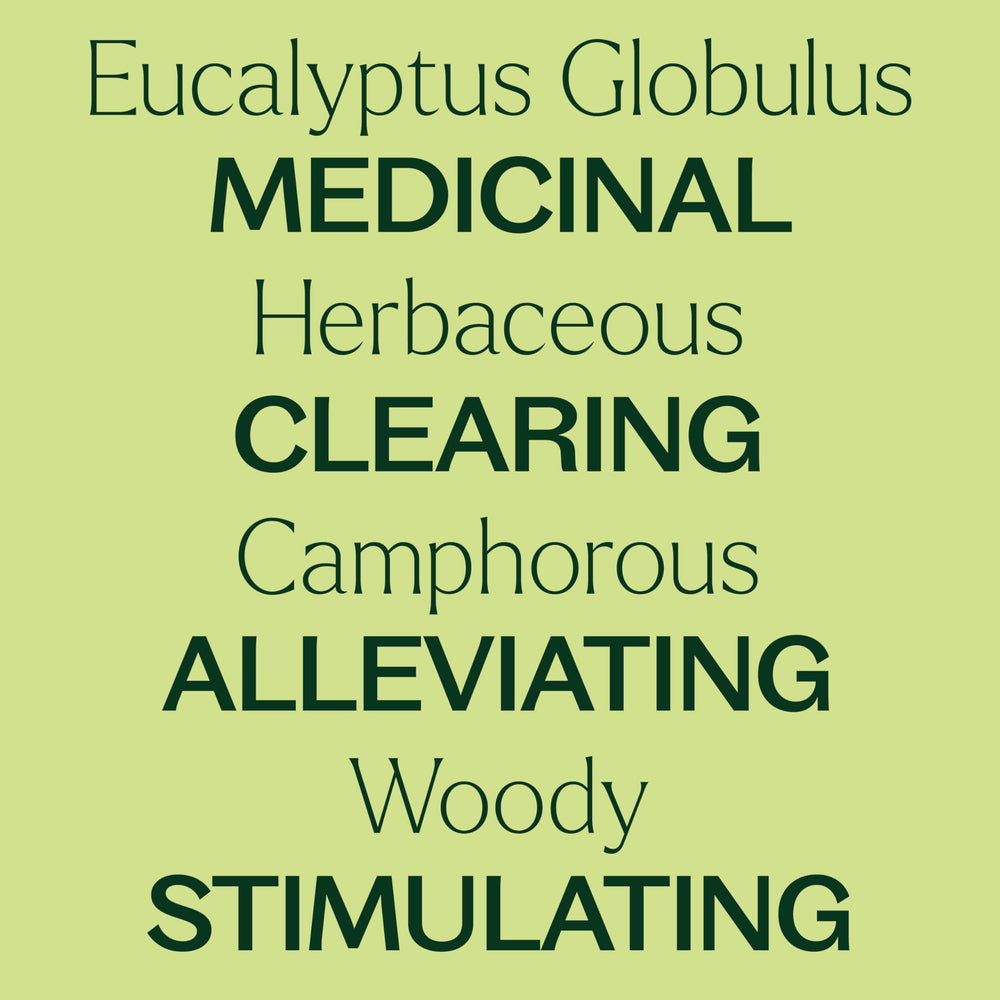 Plant Therapy Eucalyptus Globulus inhaler blend for quick respiratory clarity.