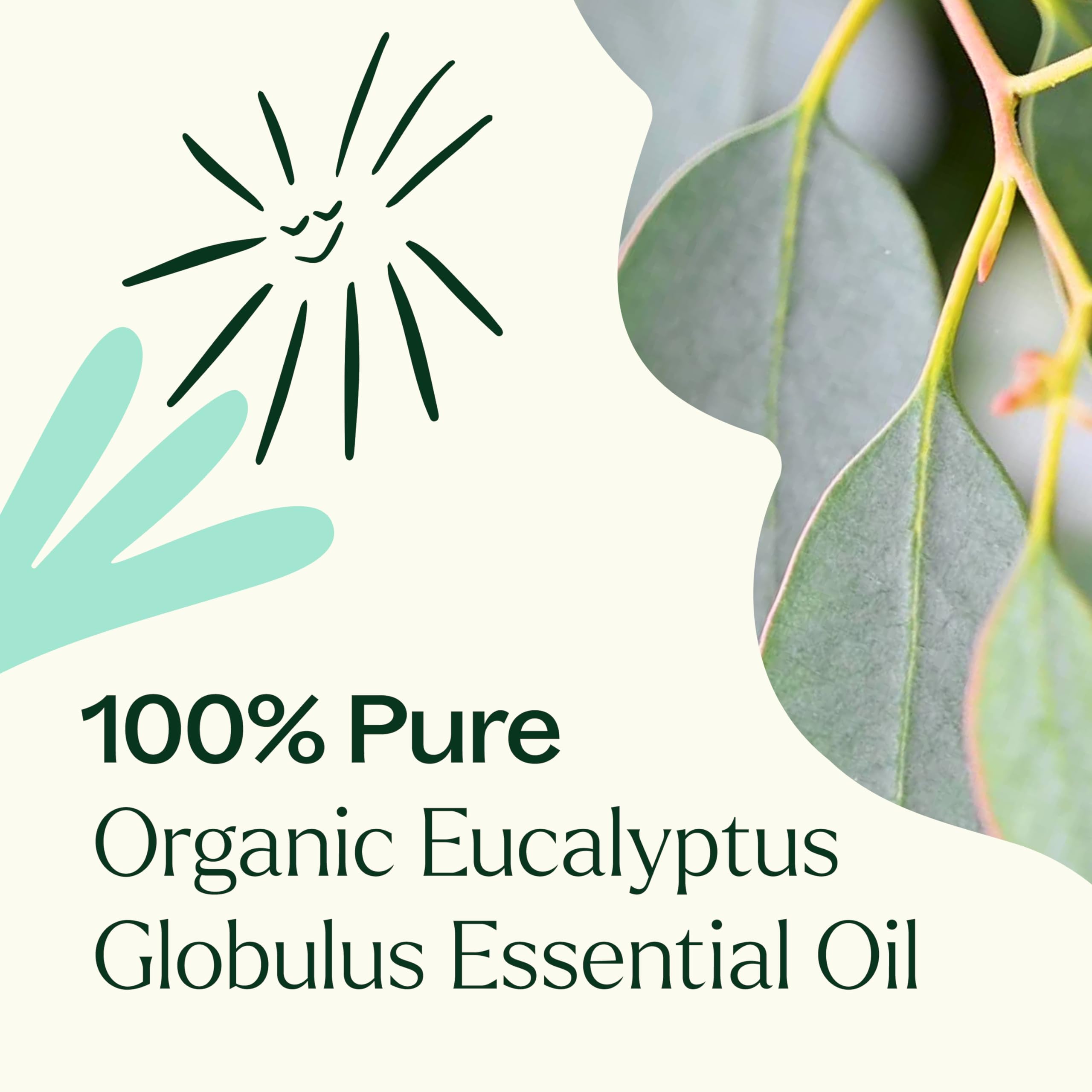 Plant Therapy eucalyptus globulus organic certification seal highlighting organic sourcing