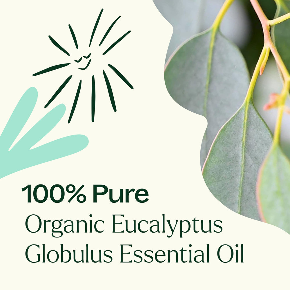Plant Therapy eucalyptus globulus organic certification seal highlighting organic sourcing