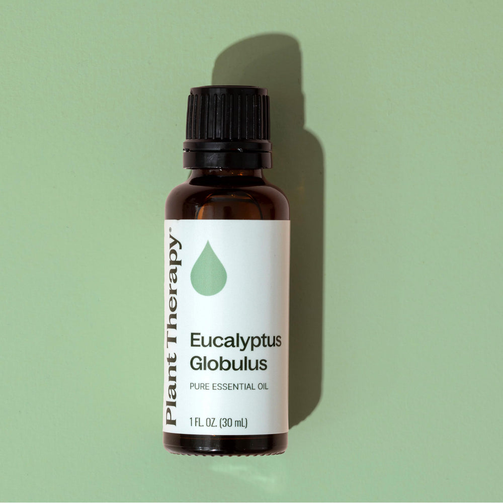 Plant Therapy Eucalyptus Globulus for skin and hair care DIY ingredient.