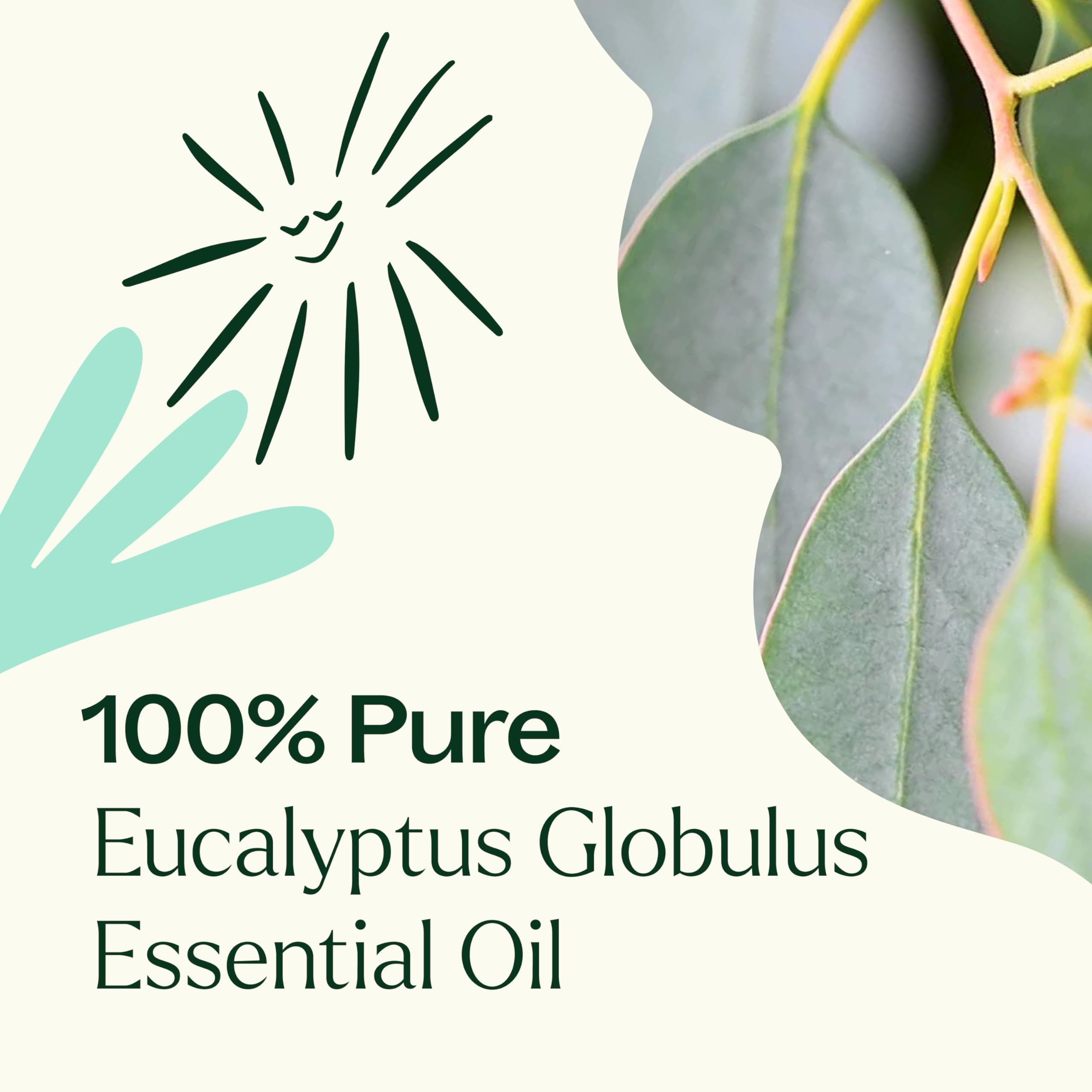 Plant Therapy Eucalyptus Globulus topical dilution for safe skin applications.