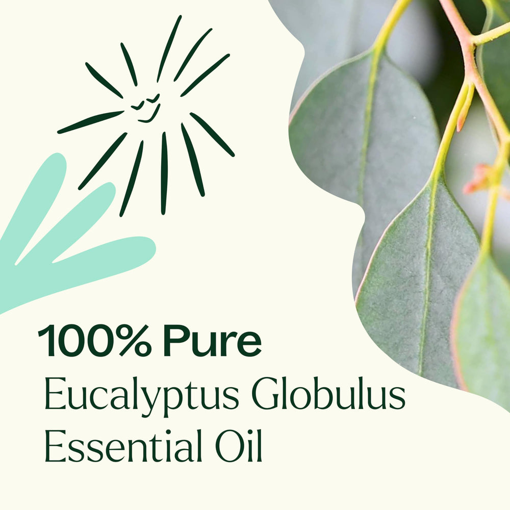 Plant Therapy Eucalyptus Globulus topical dilution for safe skin applications.