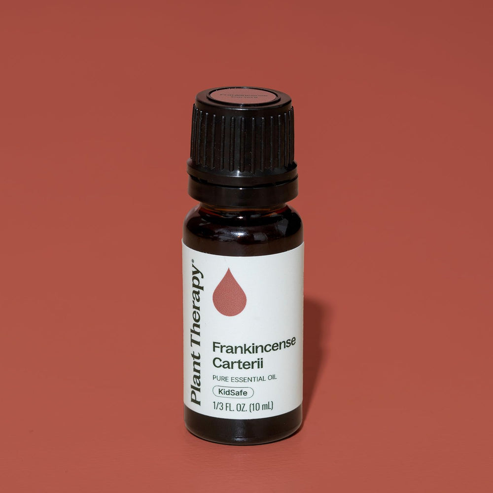 Plant Therapy Frankincense Carterii bottle with label, signifying affordable, high-quality essential oil.