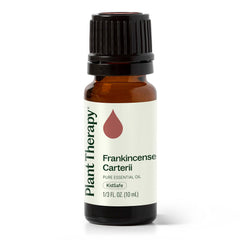 Plant Therapy Frankincense Carterii bottle close-up for pure aromatherapy and testing.