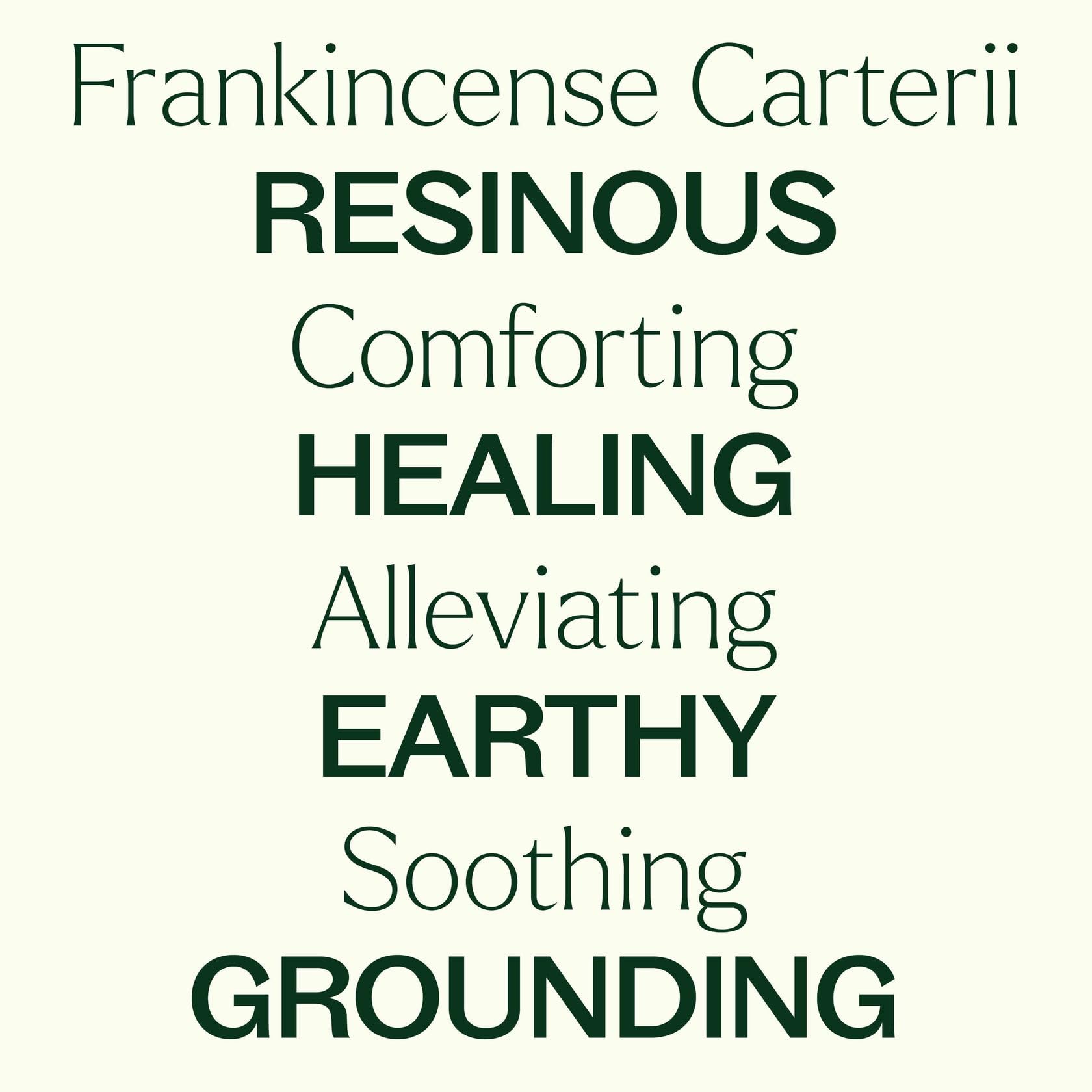 Plant Therapy Frankincense Carterii con GC-MS, garantiza control de calidad y trazabilidad.