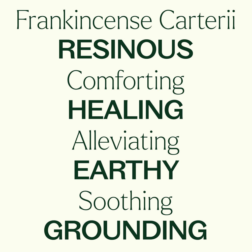 Plant Therapy Frankincense Carterii con GC-MS, garantiza control de calidad y trazabilidad.
