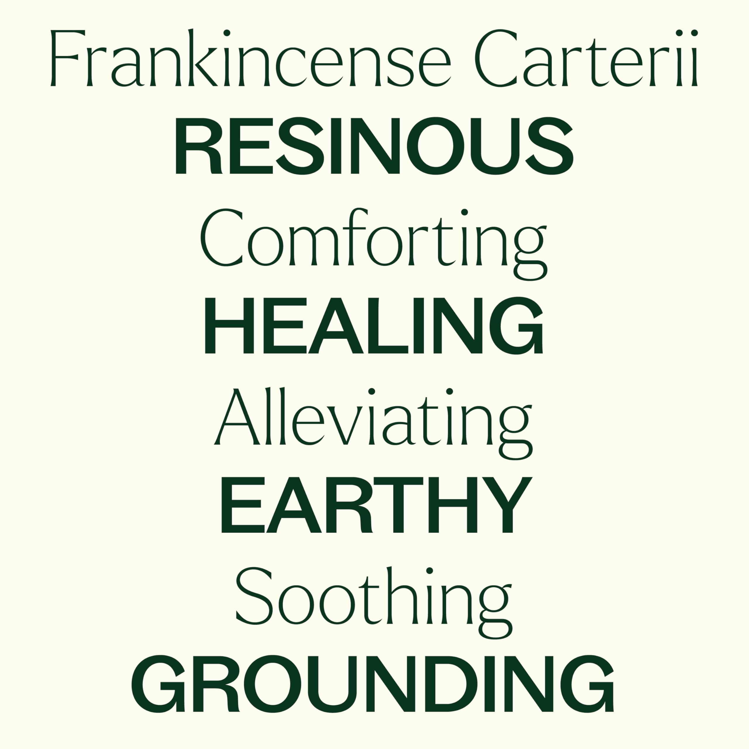 Plant Therapy Frankincense Carterii beside carrier oil for gentle topical application.