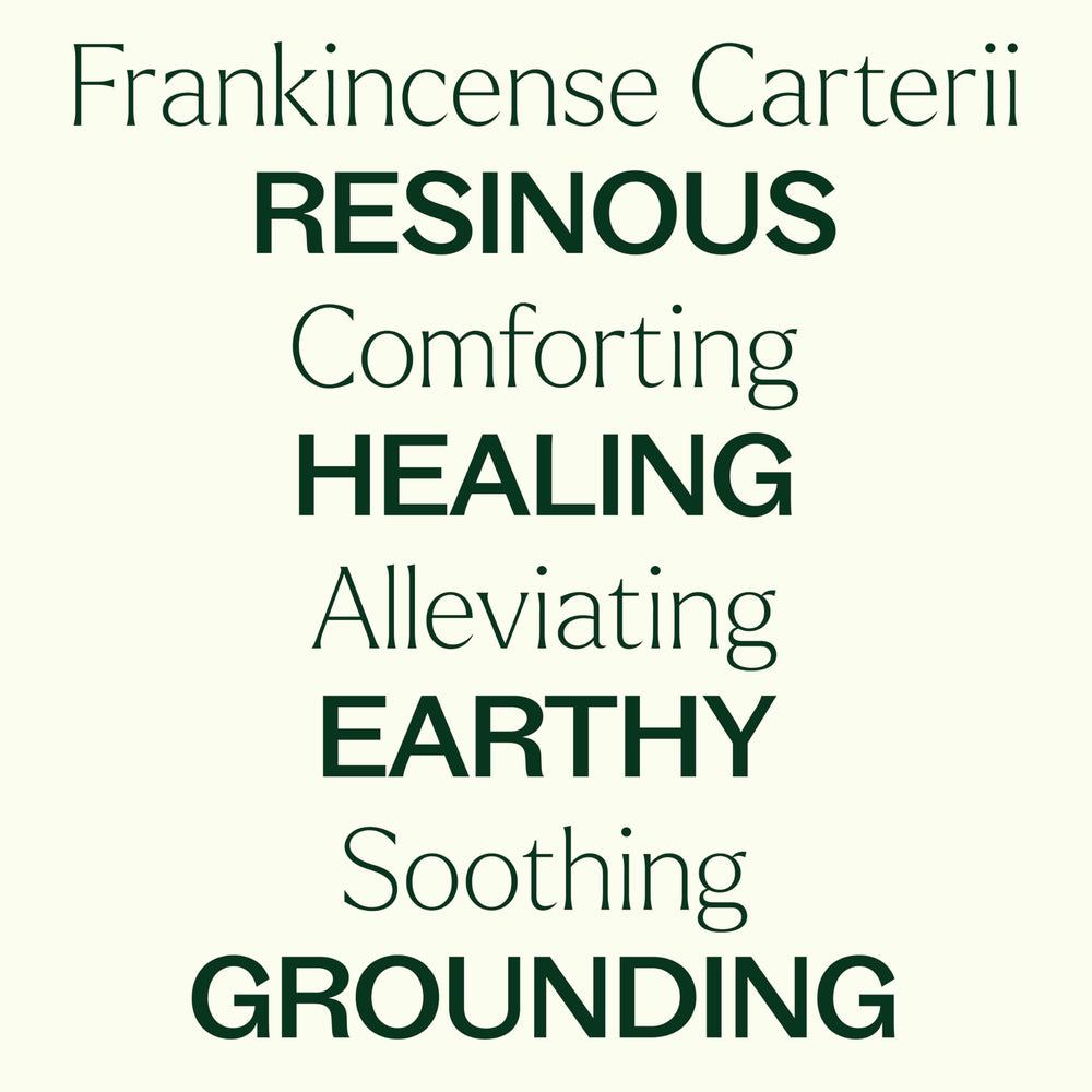 Plant Therapy Frankincense Carterii beside carrier oil for gentle topical application.
