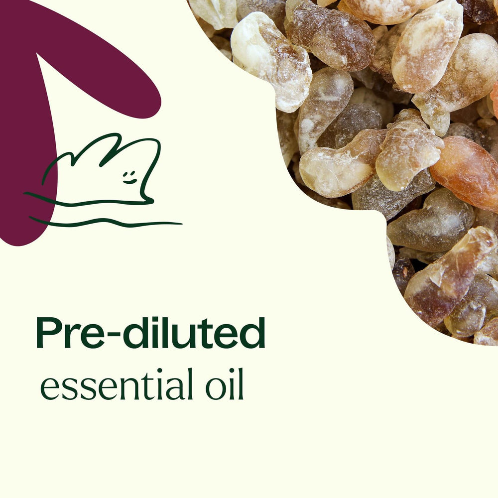 Plant Therapy Frankincense Carterii para piel, mejora la hidratación con uso tópico suave.