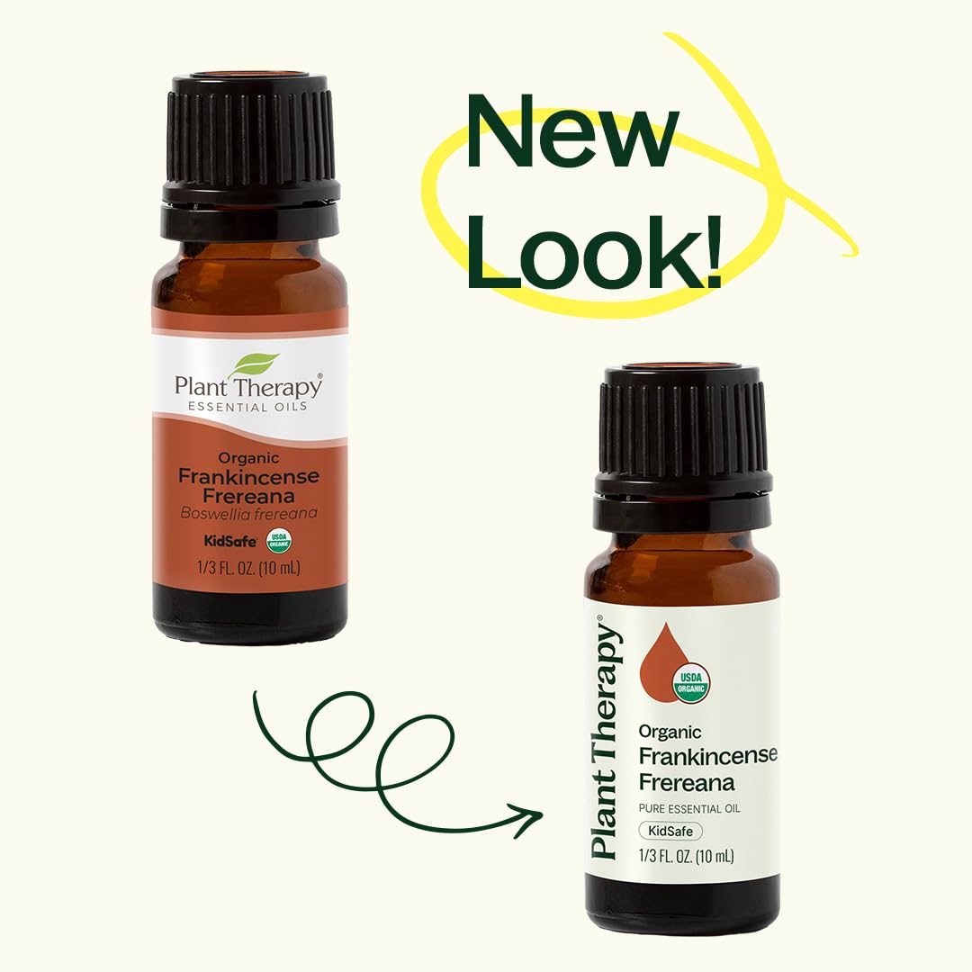 Plant Therapy Frankincense Frereana oil in amber bottle on display.