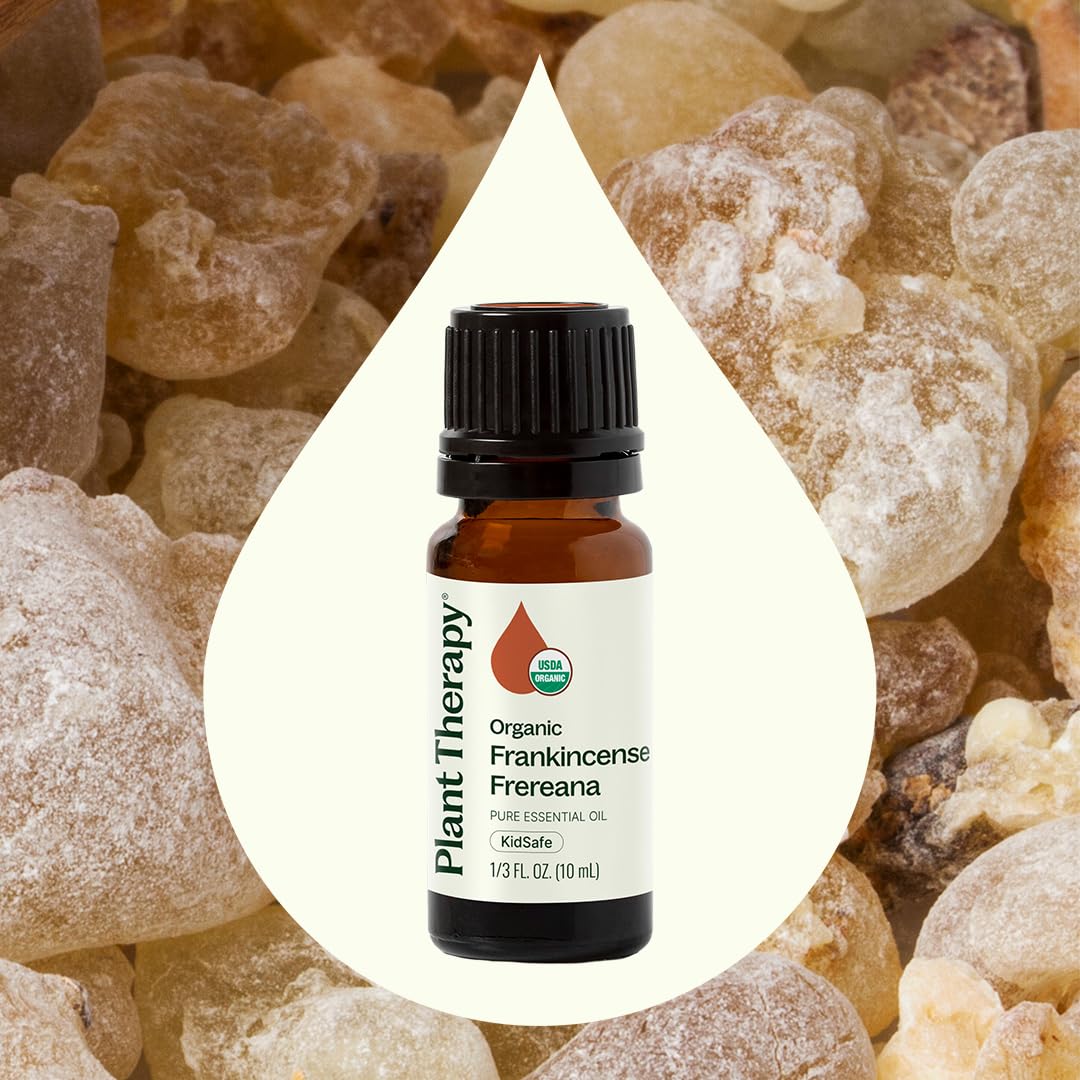 Plant Therapy Frankincense Frereana oil dropper close-up for precise dosing.