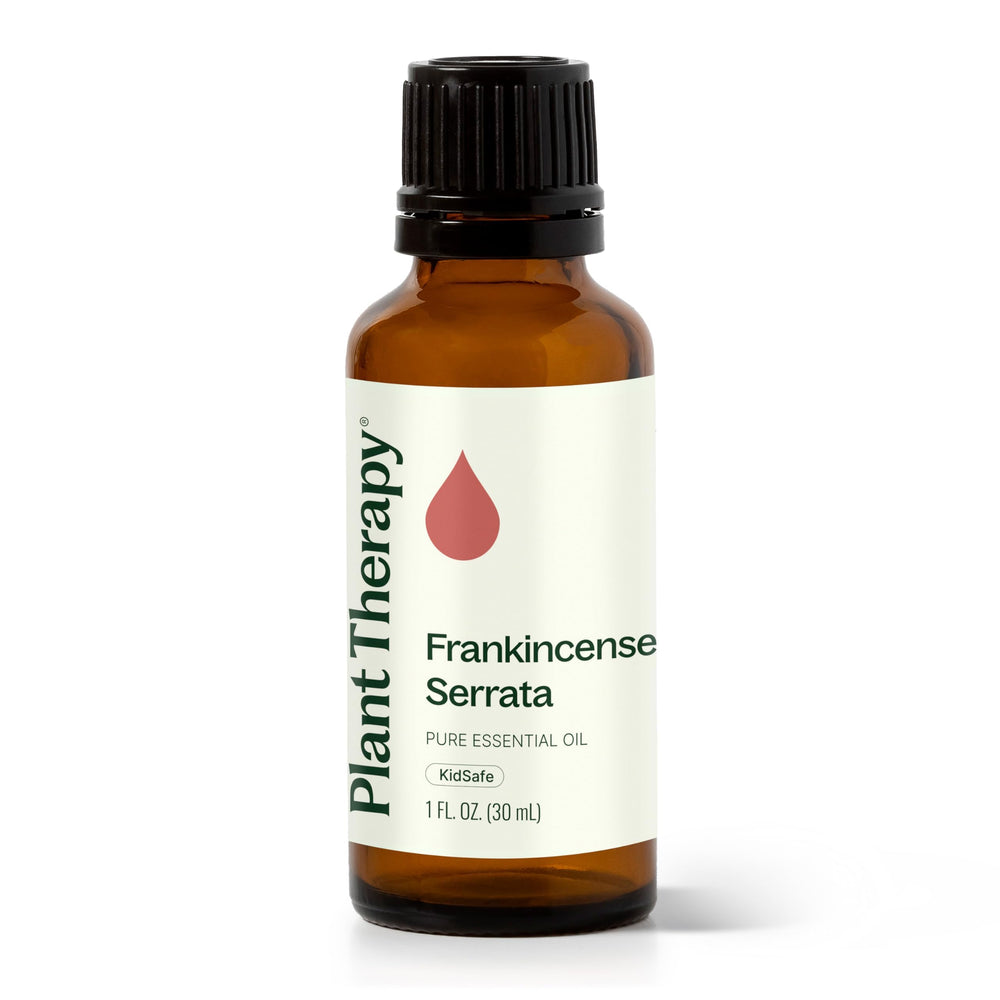 Plant Therapy Frankincense Serrata bottle for pure aromatherapy use.