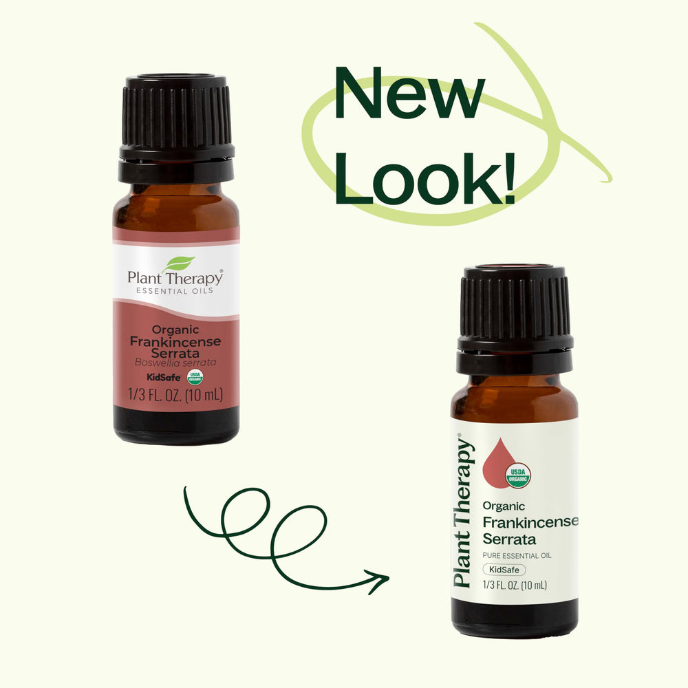 Plant Therapy Frankincense Serrata diffuser blend to support focused breathing.