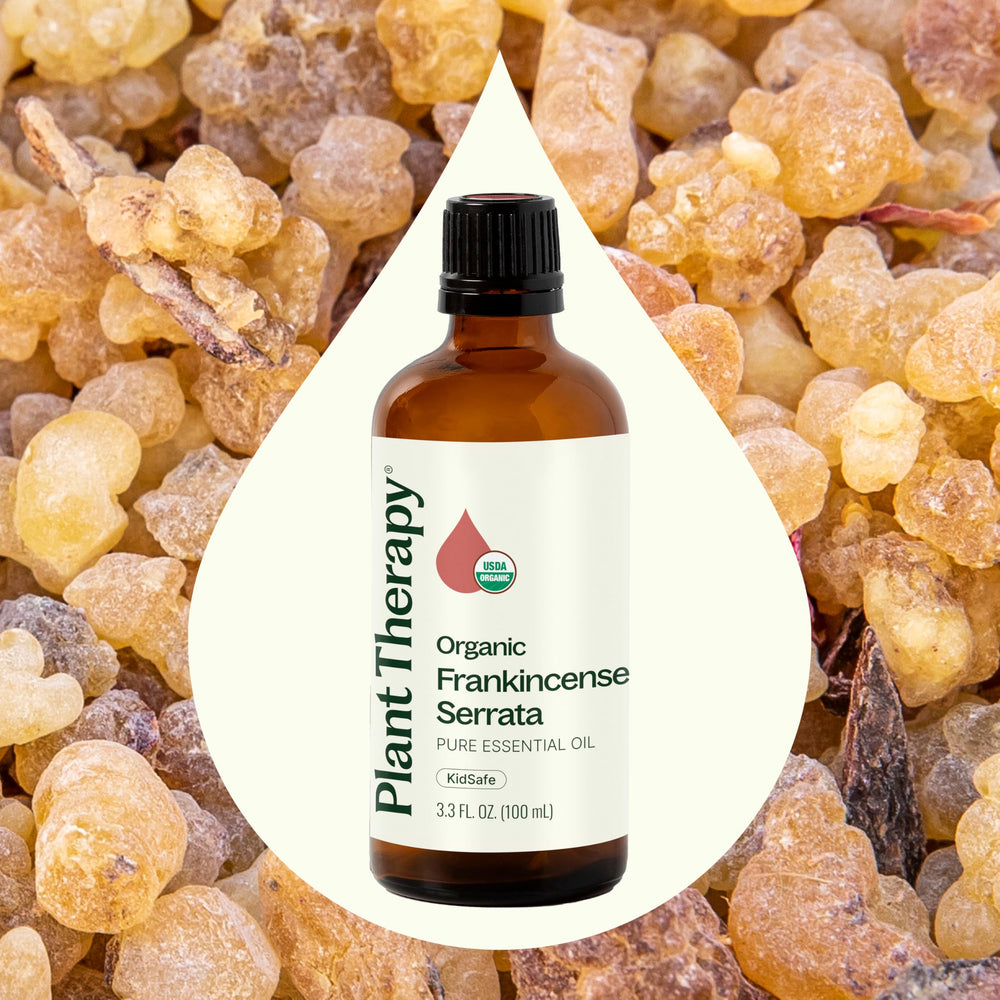 Plant Therapy Frankincense Serrata dropper ready for easy dosage