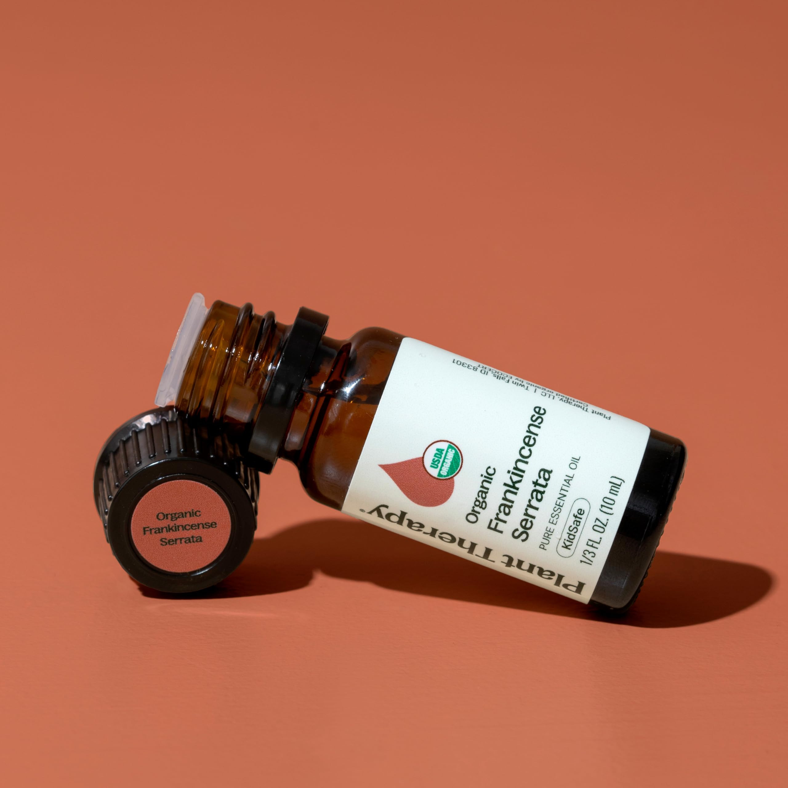 Plant Therapy Frankincense Serrata meditation diffuse to promote calm focus.