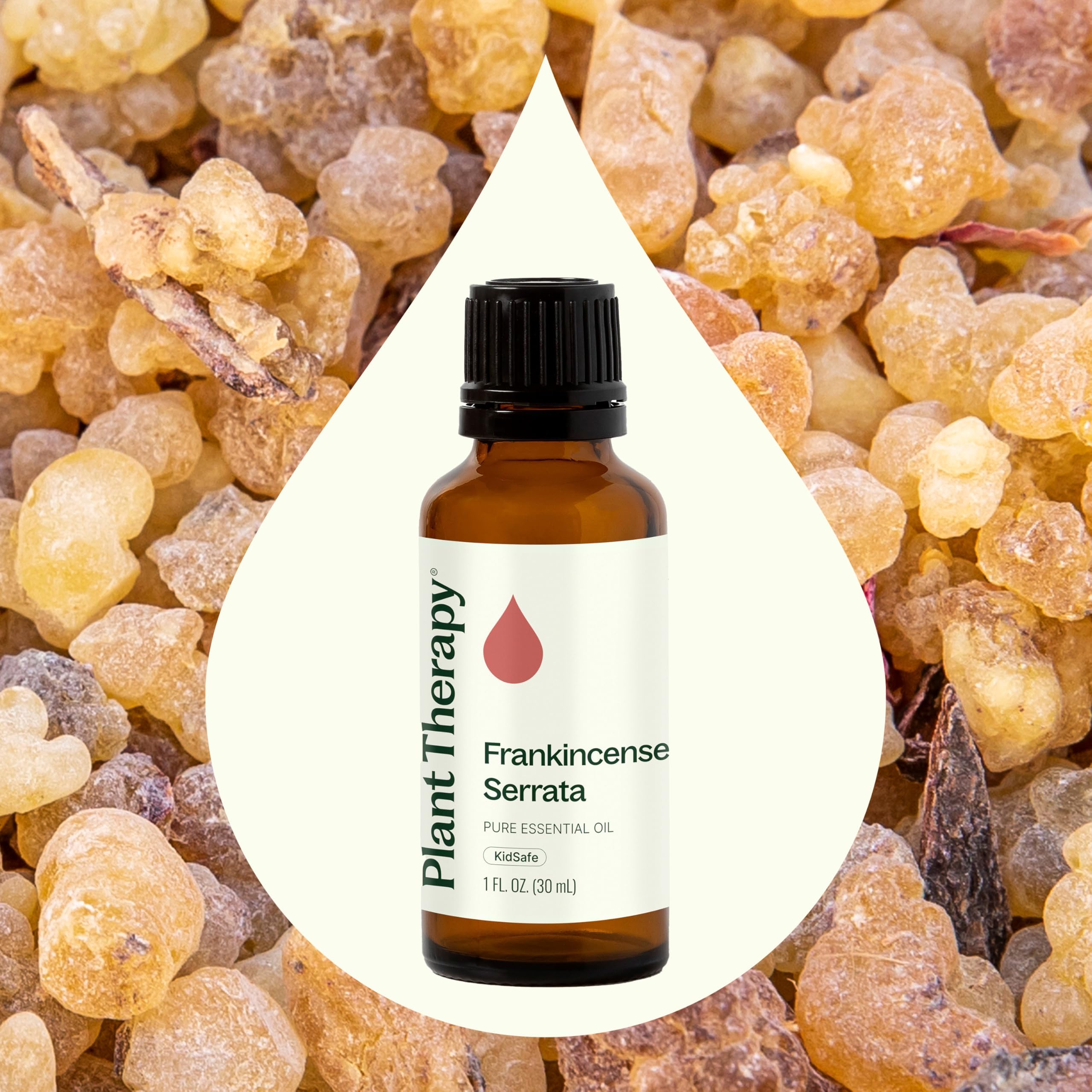 Plant Therapy Frankincense Serrata dropper ready for topical blends.