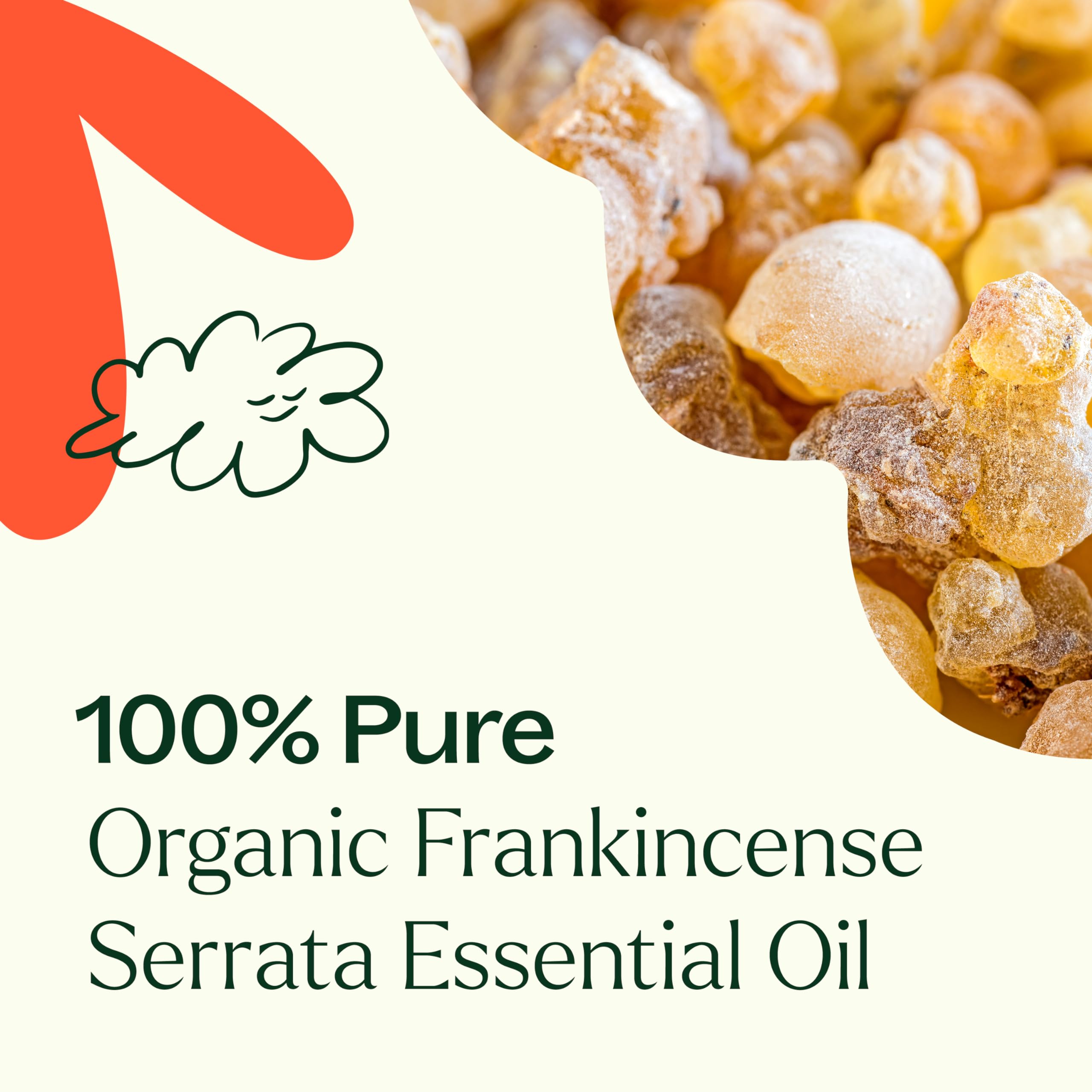 Plant Therapy Frankincense Serrata relaxing aromatherapy for meditation or yoga practice.