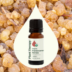 Plant Therapy Frankincense Serrata skin care routine supports elasticity in delicate skin.