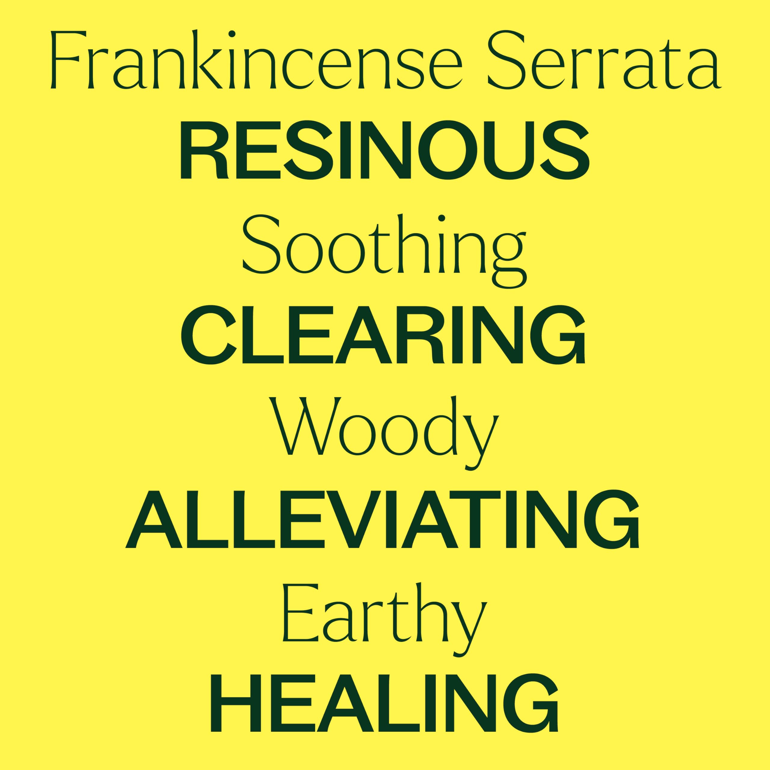 Plant Therapy Frankincense Serrata topical application for soothing, non-irritating massage oil.