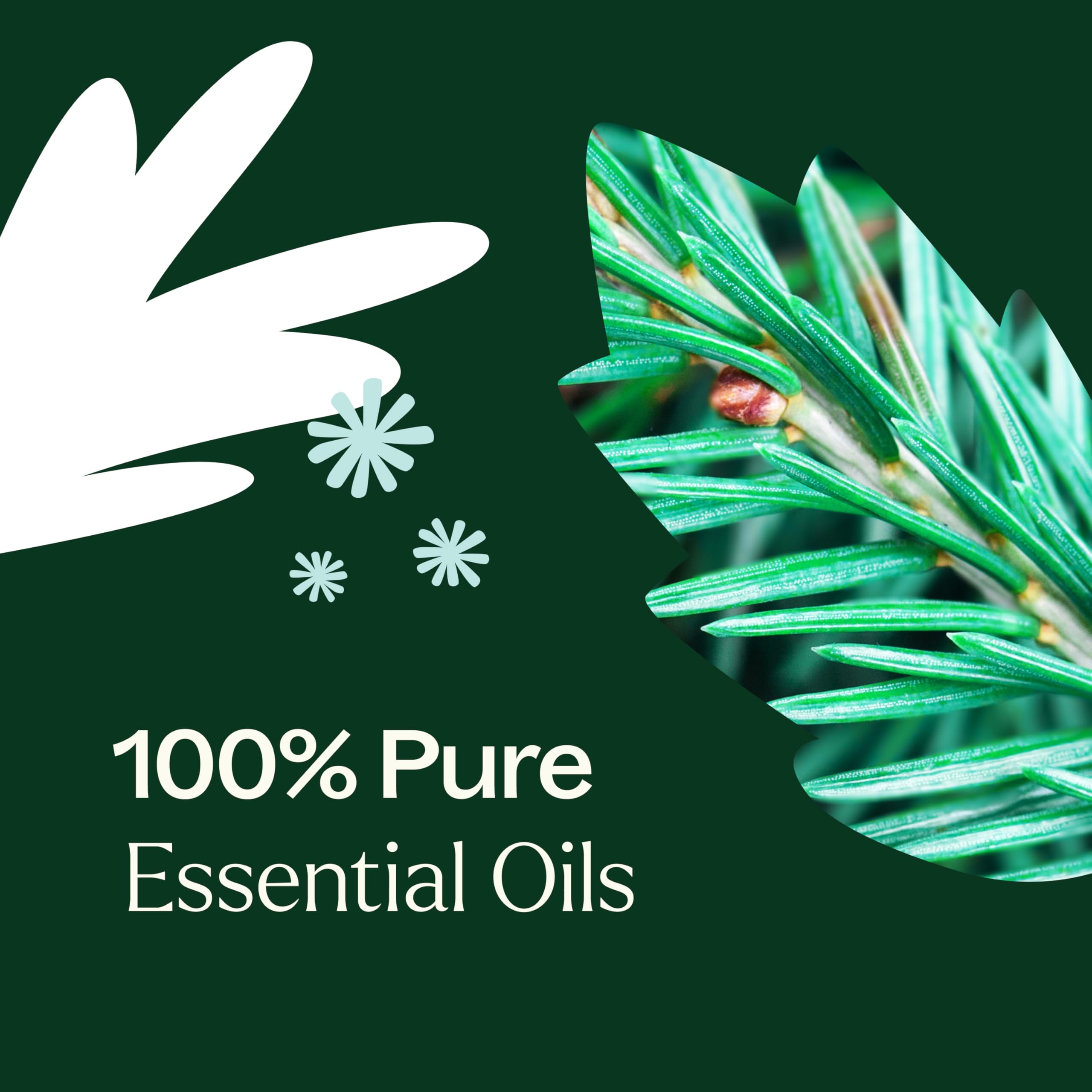 Plant Therapy holiday aroma diffuser visual showcasing festive, refreshing scent