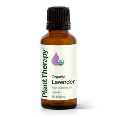 Plant Therapy lavender oil bottle ready for diffusion and topical care.