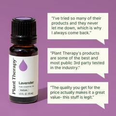 Plant Therapy Lavender Oil as a hair-care tonic for scalp comfort.
