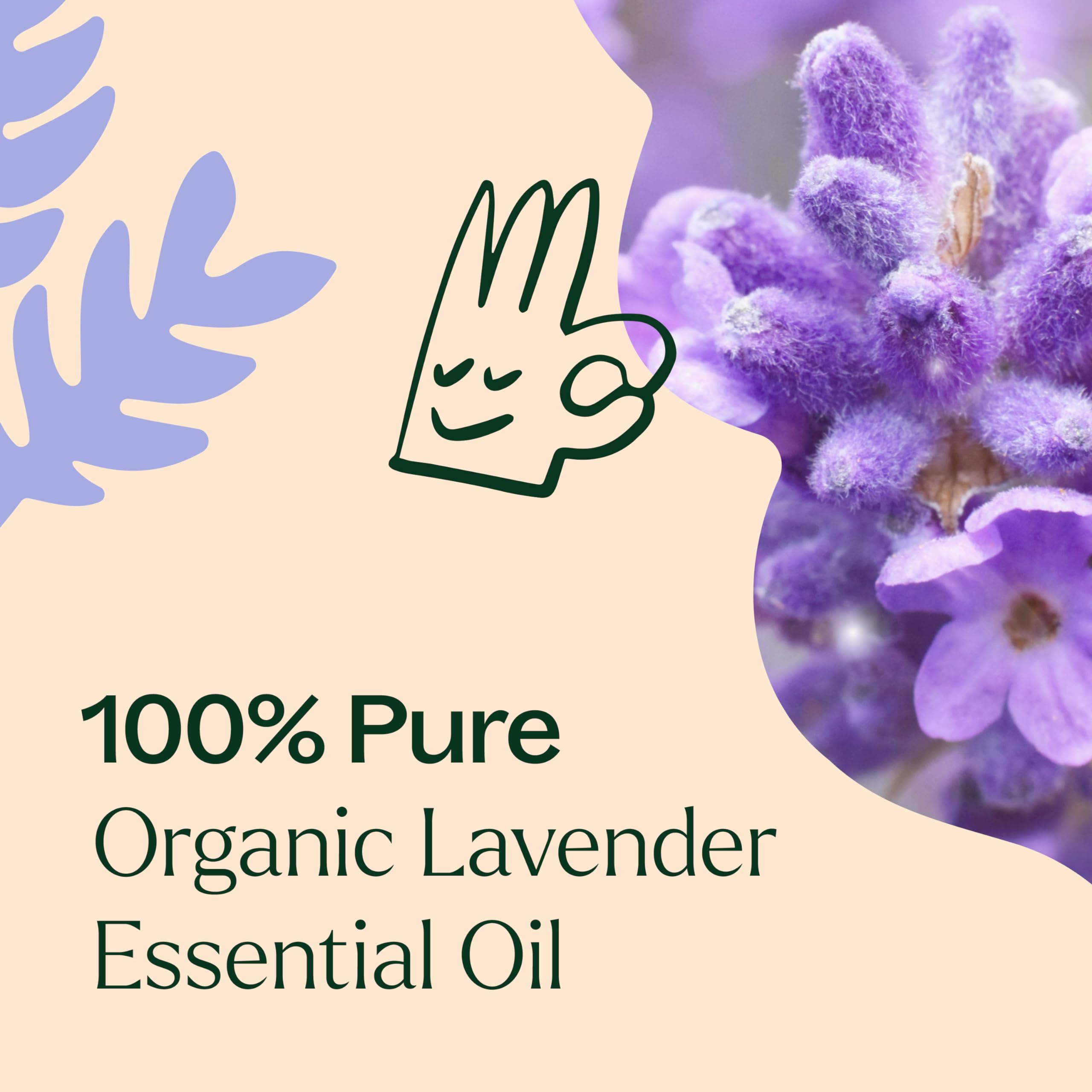 Organic lavender oil label from Plant Therapy highlights organic quality.