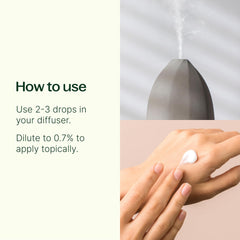 Plant Therapy Lemongrass diffuser scene for uplifting scent in living spaces