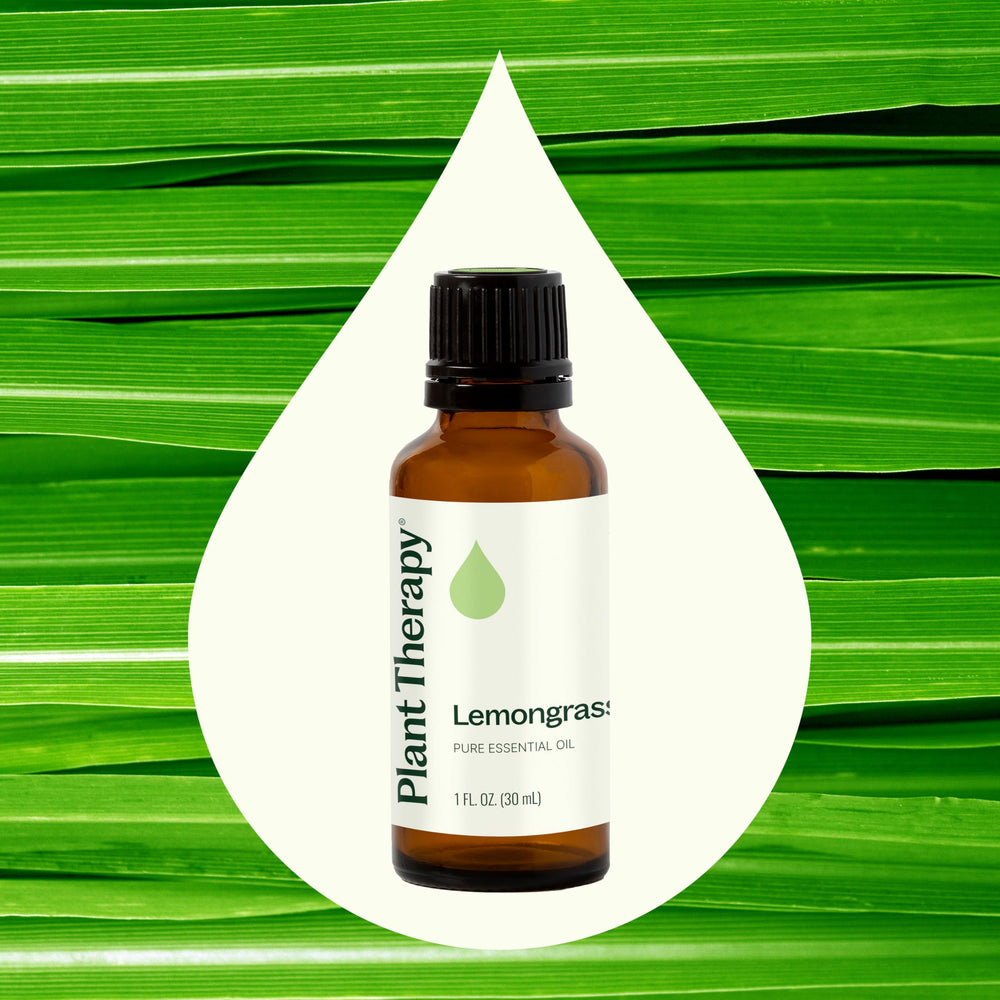 Plant Therapy Lemongrass label highlights purity and GC-MS testing