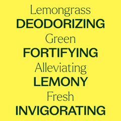 Plant Therapy Lemongrass oil label close-up emphasizing purity